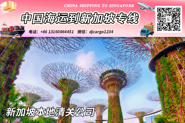 新加坡清关