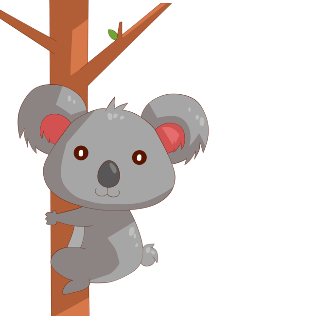 koala