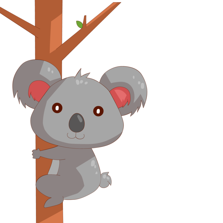 koala