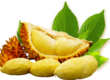durian