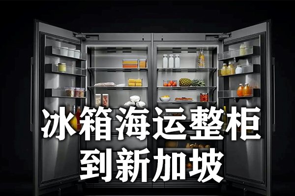 冰箱海运到新加坡