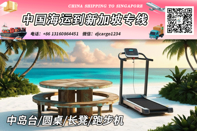 中国海运到新加坡