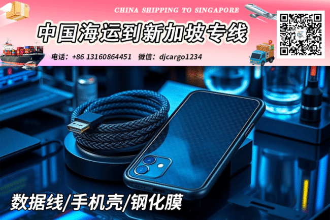 数据线海运空运到新加坡