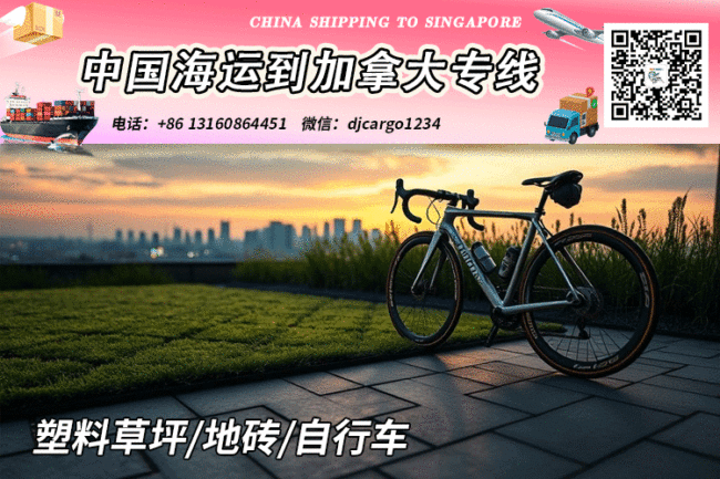 自行车海运到加拿大