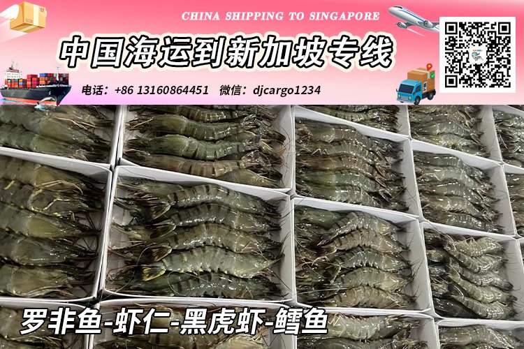 【全程冷链】冷冻罗非鱼-虾仁-黑虎虾-鳕鱼海运到新加坡SG
