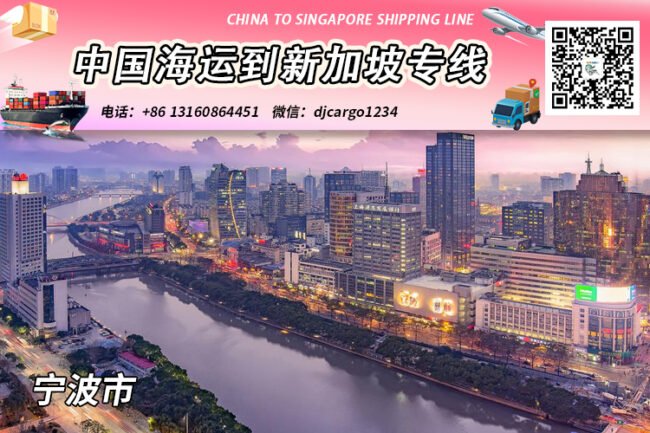 宁波海运整柜到新加坡清关派送，帮代付人民币货款服务