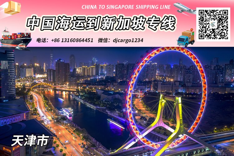 天津海运整柜到新加坡清关派送，可帮忙代付人民币货款
