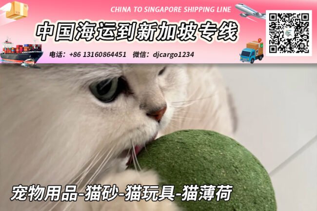 宠物用品-猫砂-猫玩具-猫薄荷海运整柜到新加坡