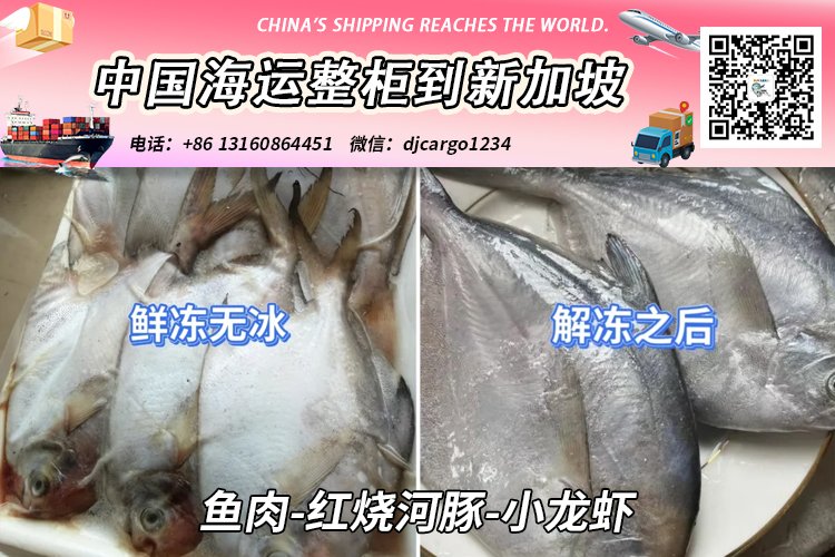 鱼肉-红烧河豚-小龙虾海运整柜到新加坡-18°运输