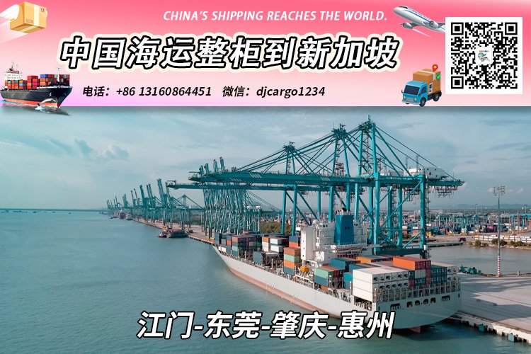江门-东莞-肇庆-惠州海运整柜到新加坡双清关派送到门
