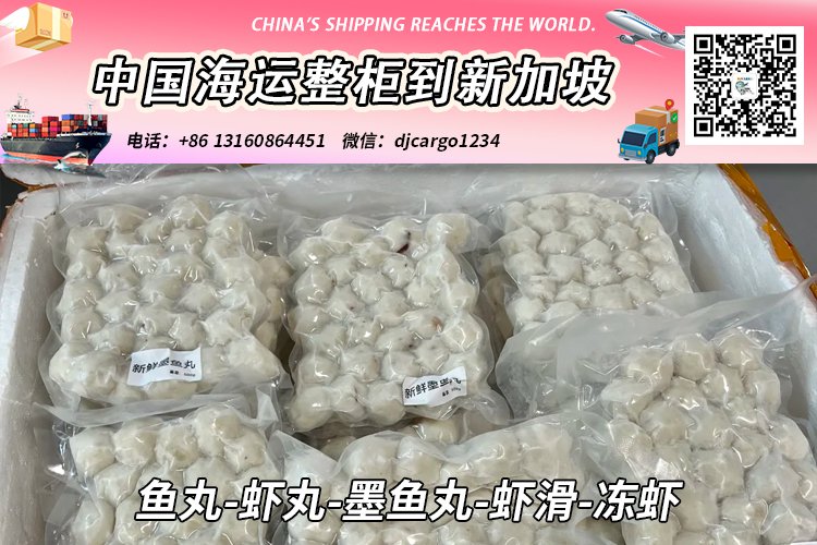 鱼丸-虾丸-墨鱼丸-虾滑-冻虾海运整柜拼箱到新加坡全程-18°