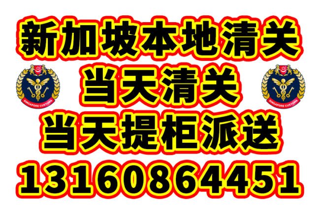 【秒清】欧洲海运整柜到新加坡清关提柜派送一条龙服务