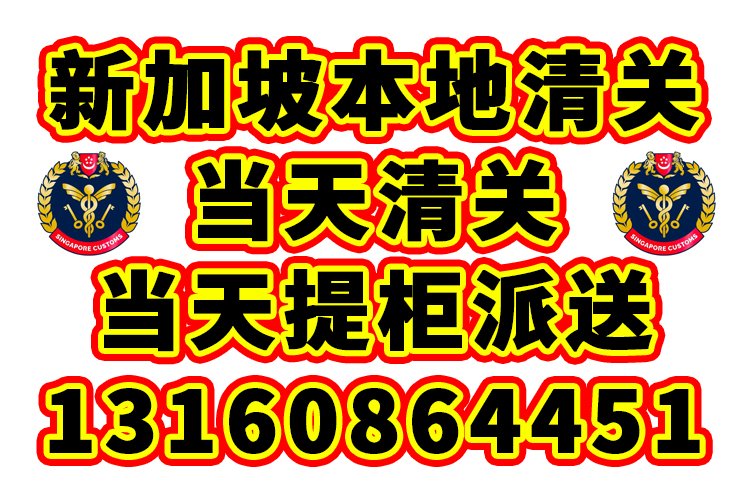 【秒清】欧洲海运整柜到新加坡清关提柜派送一条龙服务