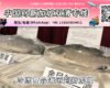 中国冷冻食品海运整柜/拼箱到新加坡冷链-18度