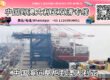 【直航】中国海运整柜到澳大利亚丨专业整柜清关派送服务