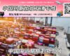 中国海运整柜到新加坡丨专业20GP/40HQ整柜清关派送到门