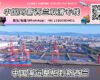 【直航】中国海运整柜到新西兰丨专业整柜清关派送服务